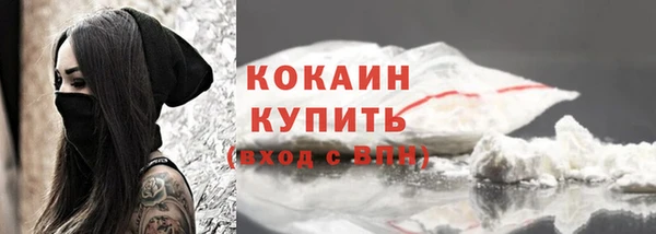 соль курить ск Новозыбков