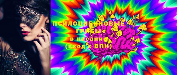 молекула духа Костерёво