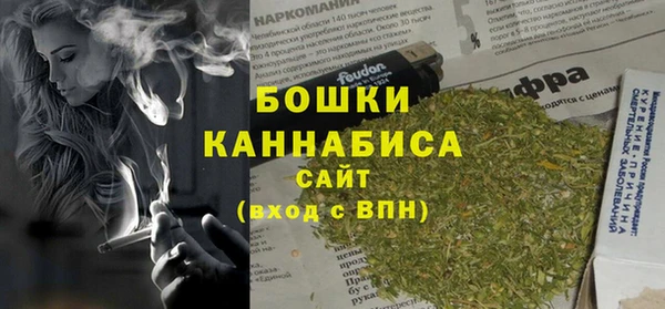 молекула духа Костерёво