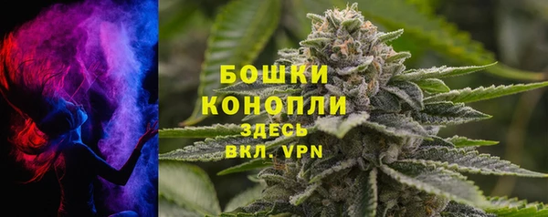 молекула духа Костерёво