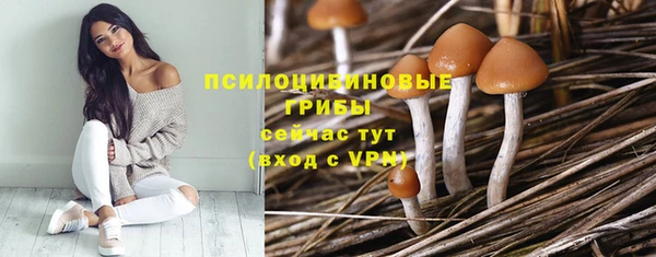 apvp Коряжма