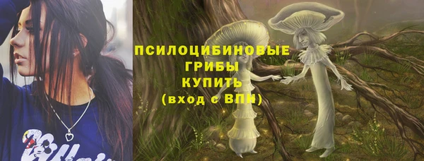 хмурый Кодинск