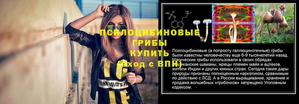 хмурый Кодинск