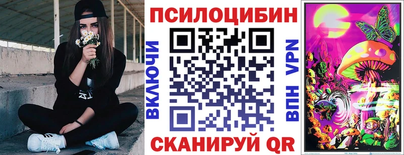 Галлюциногенные грибы Psilocybine cubensis  Козловка 